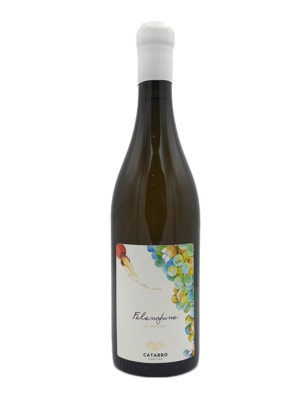 Falanghina In Anfora - Falanghina del Molise in Anfora 2021