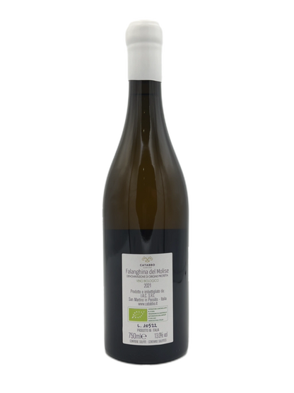 Falanghina In Anfora - Falanghina del Molise in Anfora 2021