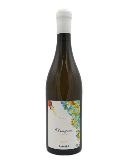 Falanghina In Anfora - Falanghina del Molise in Anfora 2021